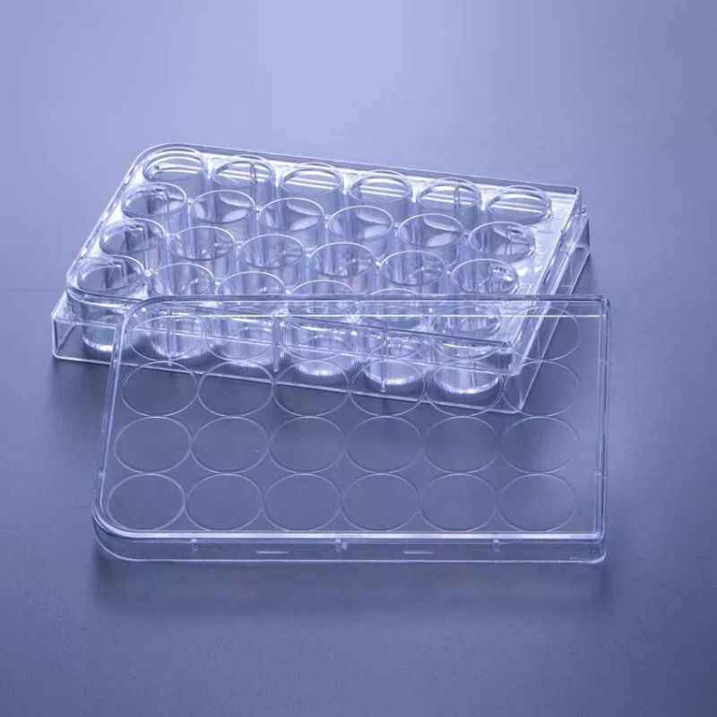 Non-Pyrogenic, Dnase Free, Rnase Free Cell Culture Dish 6 Well/ 12 Well/ 24 Well/ 48 Well/ 96 Well Cell Culture Plate