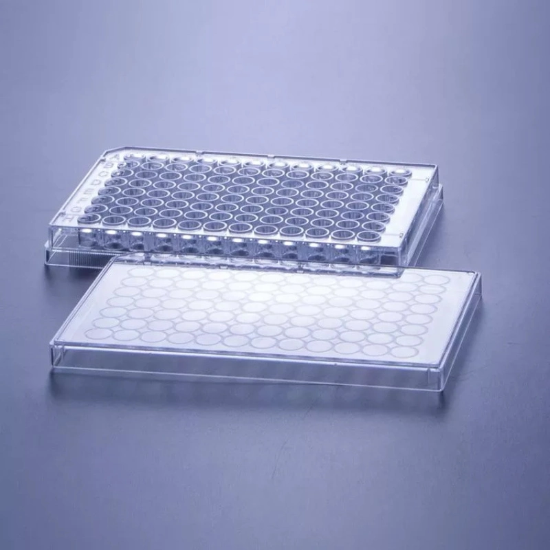 Non-Pyrogenic, Dnase Free, Rnase Free Cell Culture Dish 6 Well/ 12 Well/ 24 Well/ 48 Well/ 96 Well Cell Culture Plate